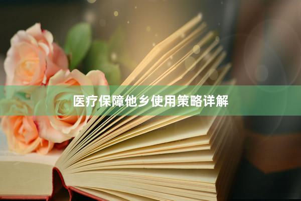 医疗保障他乡使用策略详解