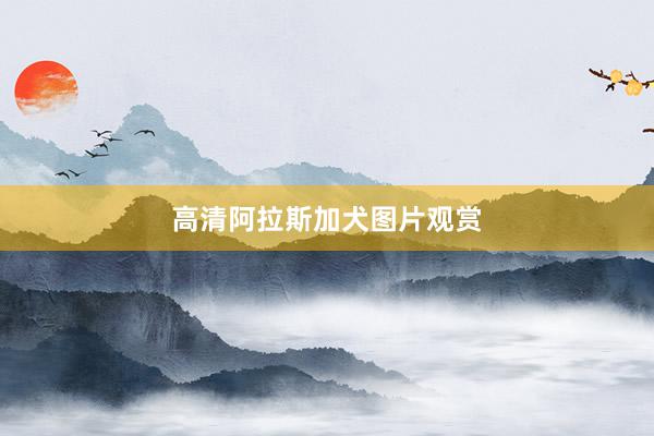 高清阿拉斯加犬图片观赏